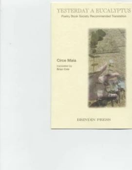 Image of Yesterday a Eucalyptus by Circe Maia and Brian Cole Paperback