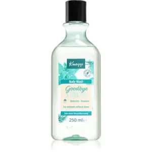 image of Kneipp Goodbye Stress Refreshing Shower Gel 250ml