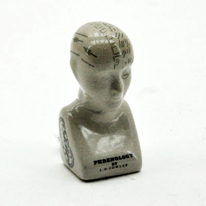 Image of Minster 6" Phrenology Head Ornament - L7 X W8 X H16 Cm