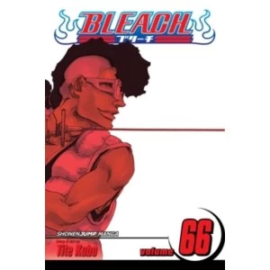 Image of Bleach, Vol. 66 : 66