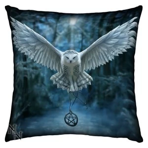Image of Awaken Your Magic Cushion