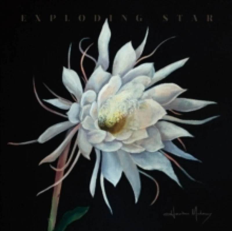 Image of Exploding Star Vinyl