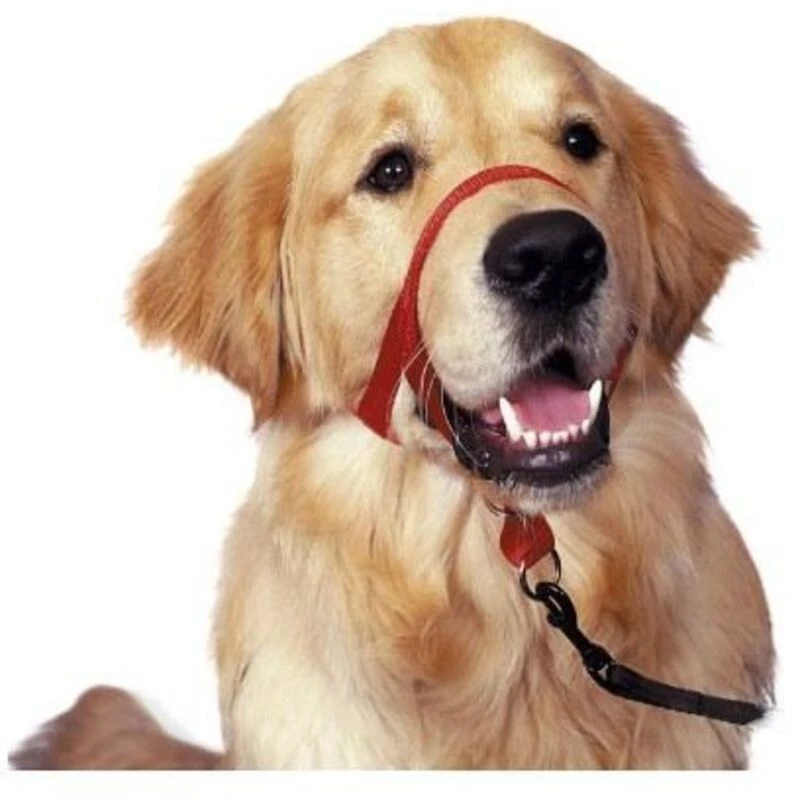 Image of Halti Dog Headcollar, Black, Size 1