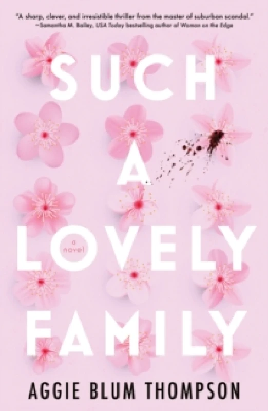 Image of Such a Lovely Family. Paperback. By Aggie Blum Thompson Books