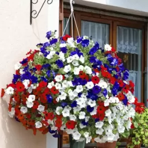 image of Yougarden Union Jack Hanging Basket Pair