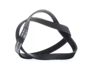 Image of SKF V-ribbed belt VKMV 4PK800 Serpentine belt,Auxiliary belt FIAT,TOYOTA,NISSAN,Sedici (FY_),iQ (_J1_),PRIMERA (P11),PRIMERA Hatchback (P11)