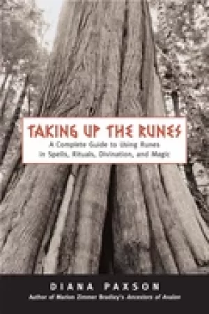 Image of taking up the runes a complete guide to using runes in spells rituals divin