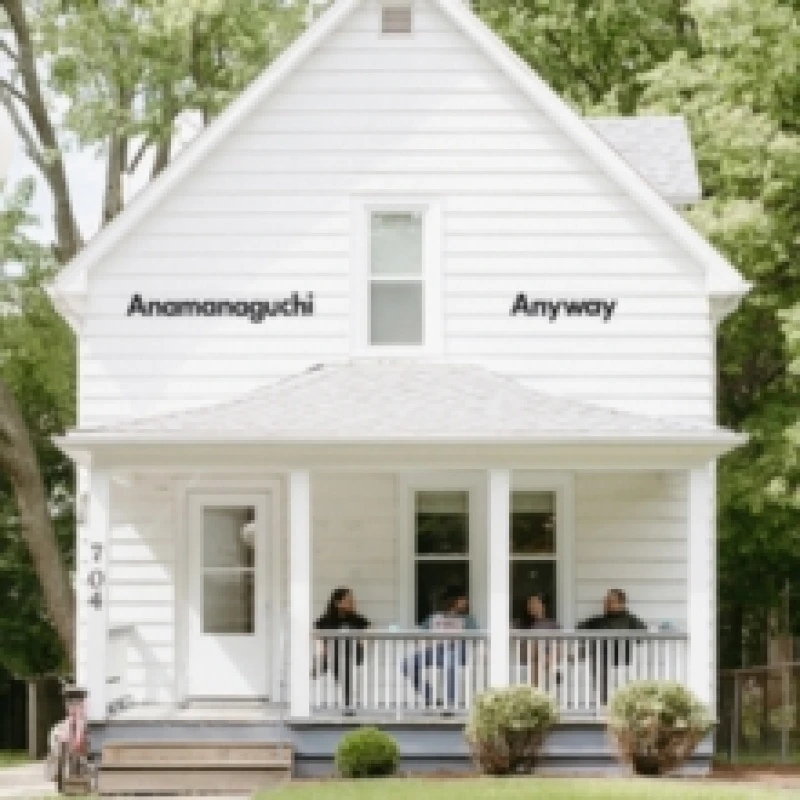 Image of Anyway Vinyl