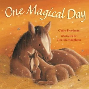 Image of One Magical Day by Claire Freedman and Tina Macnaughton Hardback