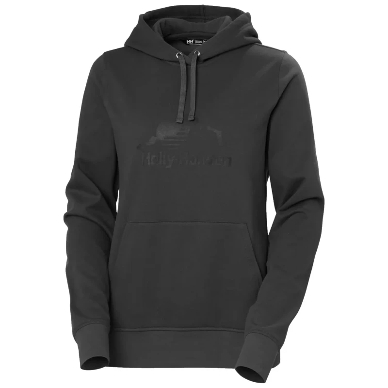Image of Womens hooded sweatshirt Helly Hansen Nord Graphic Gris Female L