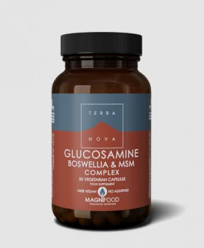 Image of Terranova Glucosamine, Boswellia & MSM Complex 50's