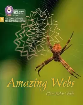 Image of Amazing Webs by Clare Helen Welsh
