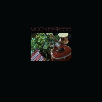 Image of Moon Express Featuring Paul Arnold & Tsvia & The Followers - Prophetic Spirit Vinyl