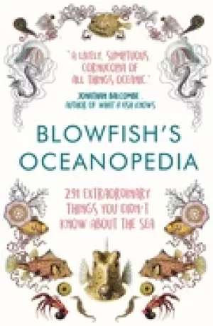Image of blowfishs oceanopedia 291 extraordinary things you didnt know about the sea
