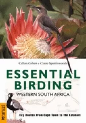 Image of essential birding western south africa key routes from cape town to the kal