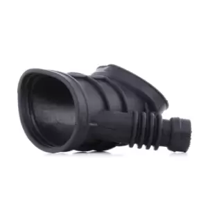 Image of RIDEX Intake Pipe, air filter BMW 1591I0002 13541435627,13541437191
