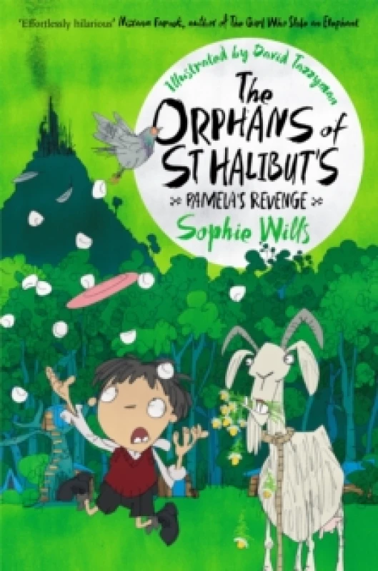 Image of Sophie Wills The Orphans of St Halibut's: Pamela's Revenge Book Multi unisex