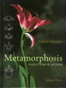 Image of Metamorphosis : Evolution in Action