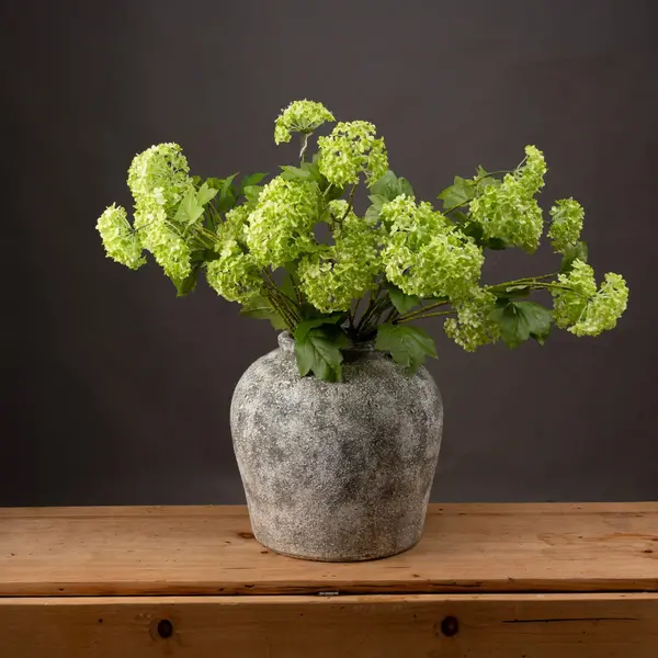 Image of Green Viburnum Spray