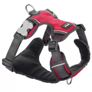 Image of Red Dingo Padded Dog Harness - Medium (20mm) / Red