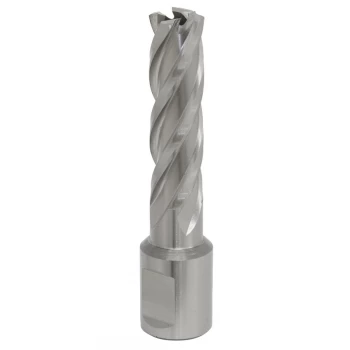 Image of Rotabor Cutter HSS 15MM - Cut Depth 50MM