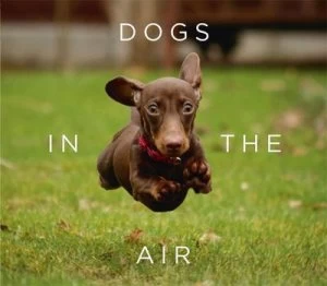 Image of Dogs in the Air by Jack Bradley Hardback