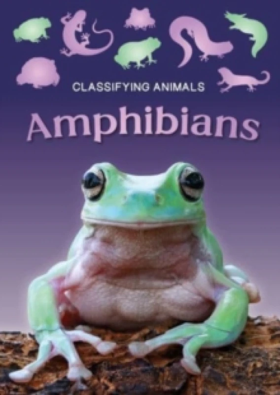 Image of Amphibians Paperback / softback