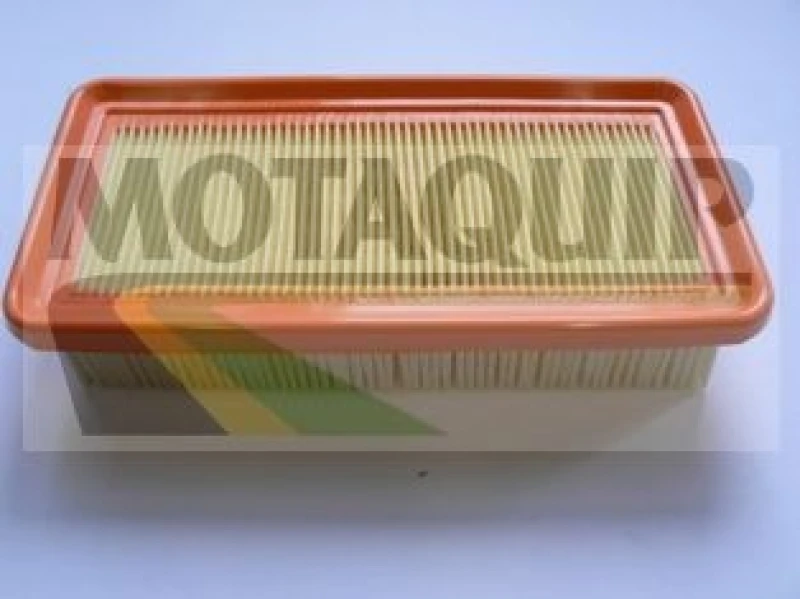 Image of MOTAQUIP Air filter MOTAQUIP VFA1220