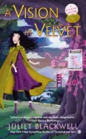 Image of vision in velvet