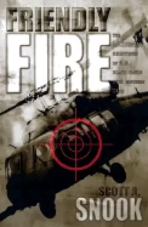 Image of friendly fire the accidental shootdown of u s Black hawks over northern ira