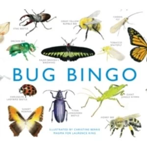 Image of Bug Bingo