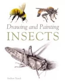 Image of Drawing and Painting Insects