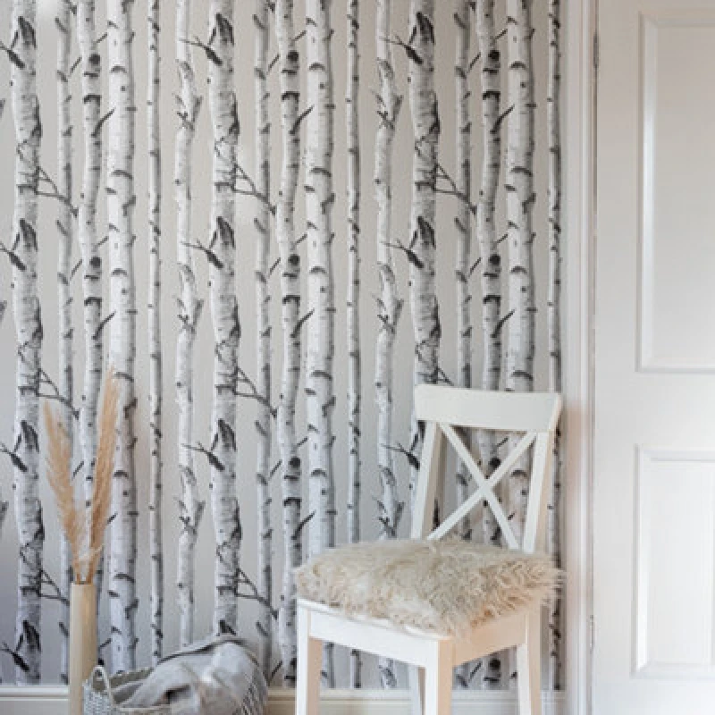 Image of Wallpops Nu Wallpaper Birch Tree Self Adhesive Wallpaper 5.49M(L) 52.07Cm(W)