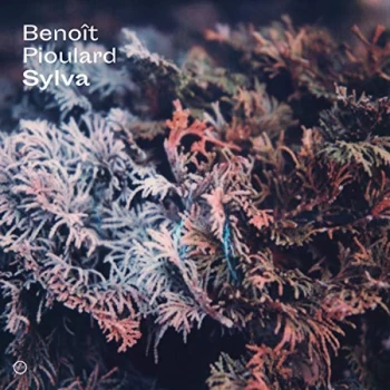 Image of Benoit Pioulard - Sylva CD
