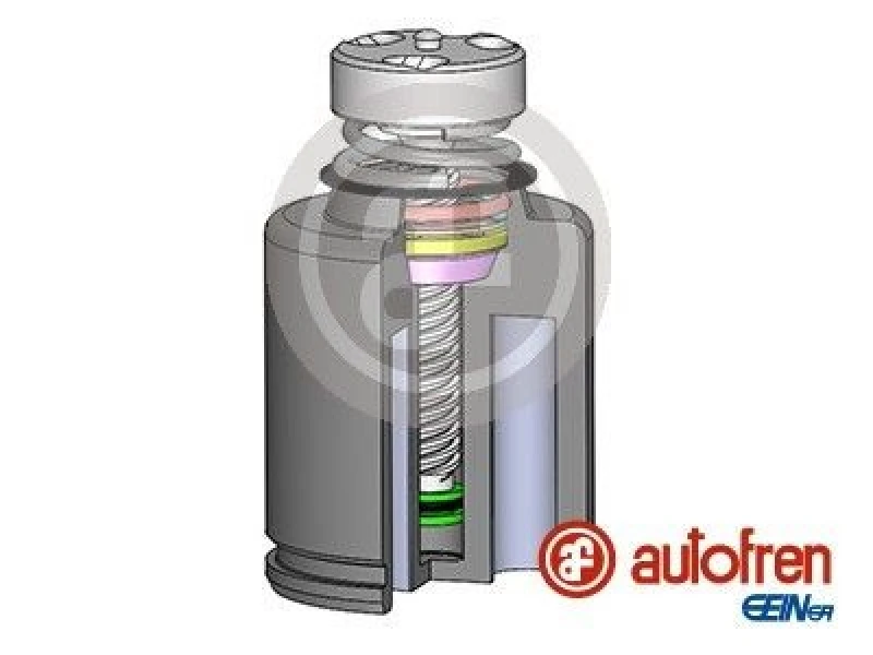 Image of AUTOFREN SEINSA Brake caliper piston AUTOFREN SEINSA D025234LK