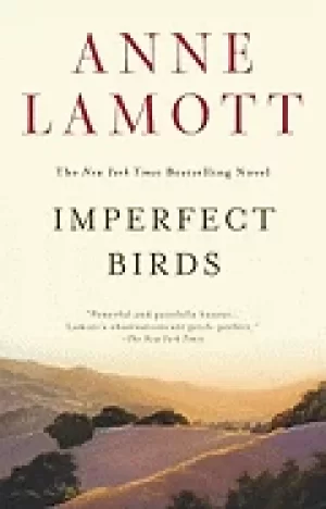 Image of imperfect birds a novel