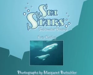 Image of Sea Stars by Avis Harley Hardback