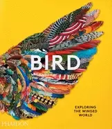 Image of bird exploring the winged world