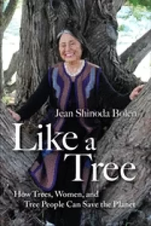 Image of like a tree how trees women and tree people can save the planet bolen jean
