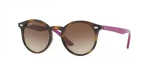 image of Ray-Ban Junior Sunglasses RJ9064S 704113