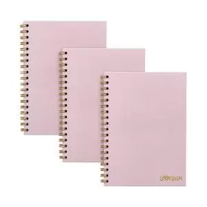Image of Pukka Pads Carpe Diem Wirebound Hardback Notebook Pink B5 9376-CD