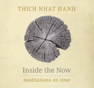 Image of Inside the now by Nhat Hanh