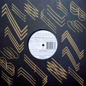 Image of Flowers And Sea Creatures - Head First Then Heart EP Vinyl