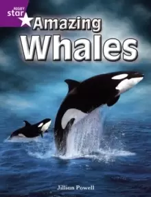 Image of Rigby Star Independent Year 2 Purple Non Fiction: Amazing Whales Single