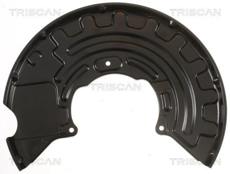 Image of TRISCAN Brake disc backing plate TRISCAN 8125 29128