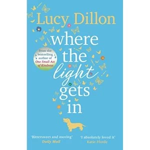 Image of Where The Light Gets In The Sunday Times bestseller Paperback / softback 2018