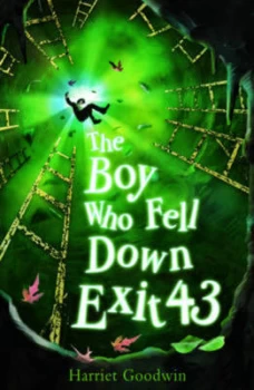 Image of The Boy Who Fell down Exit 43 by Harriet Goodwin Paperback