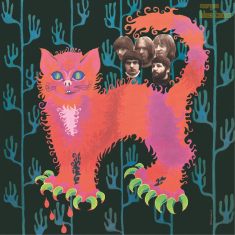 Image of Pussy Plays Vinyl