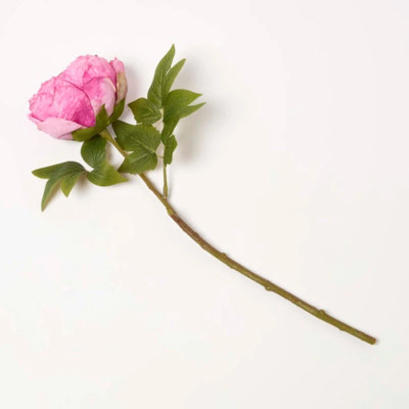 Image of Homescapes Artificial Stem of Dried Peony Flowers Pink