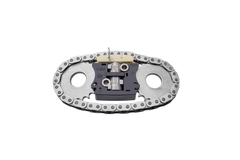 Image of Timing chain kit BorgWarner 59007150000